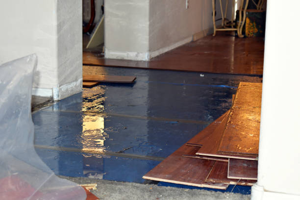 Professional Water Extraction technician working in Charlotte, TX